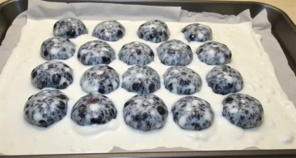 Camping Snacks : Frozen yogurt-dipped blueberries, a refreshing and tangy camping treat.